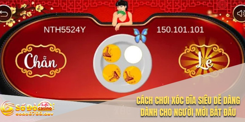 Cách Chơi Xóc Đĩa Siêu Dễ Dàng Dành Cho Người Mới Bắt Đầu 1 Cách chơi xóc đĩa